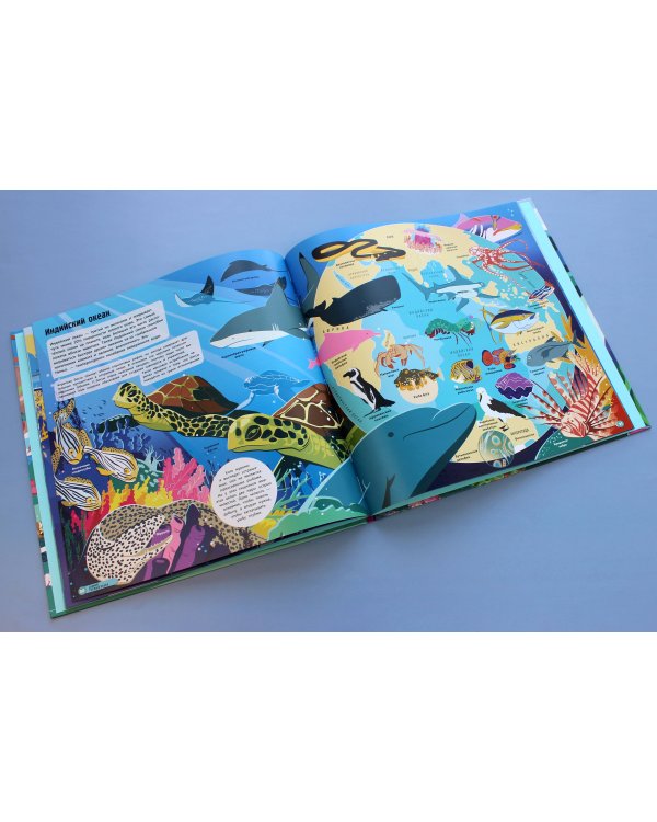 Удивительный атлас морских обитателей. Виртуальная реальность