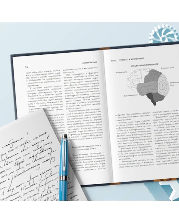 Мозг долгожителя. 7 шагов к ясности ума, крепкой памяти и устойчивому вниманию 