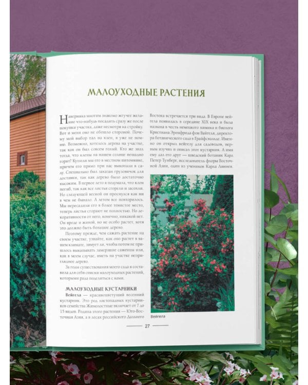 Секреты малоуходного сада. Как создать дизайн участка с неприхотливыми декоративными растениями