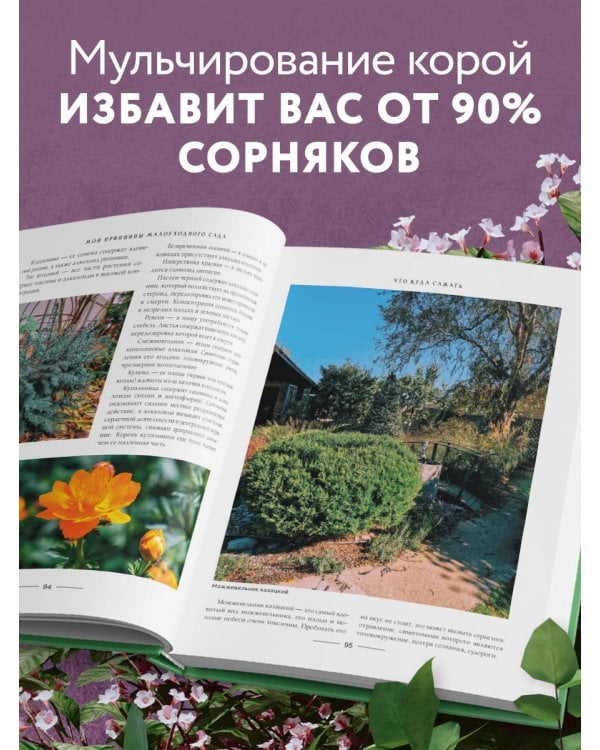 Секреты малоуходного сада. Как создать дизайн участка с неприхотливыми декоративными растениями