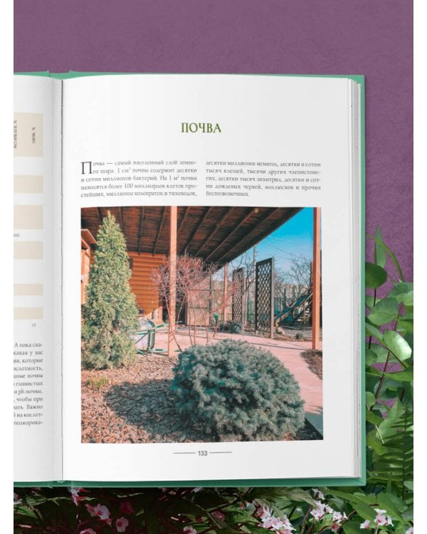 Секреты малоуходного сада. Как создать дизайн участка с неприхотливыми декоративными растениями