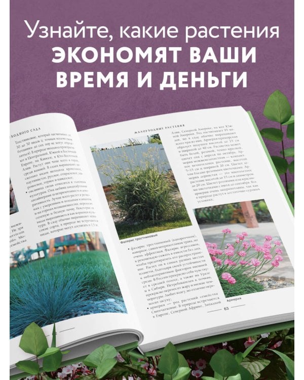 Секреты малоуходного сада. Как создать дизайн участка с неприхотливыми декоративными растениями