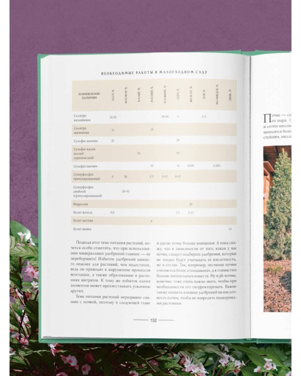 Секреты малоуходного сада. Как создать дизайн участка с неприхотливыми декоративными растениями