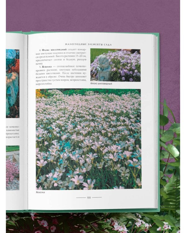 Секреты малоуходного сада. Как создать дизайн участка с неприхотливыми декоративными растениями