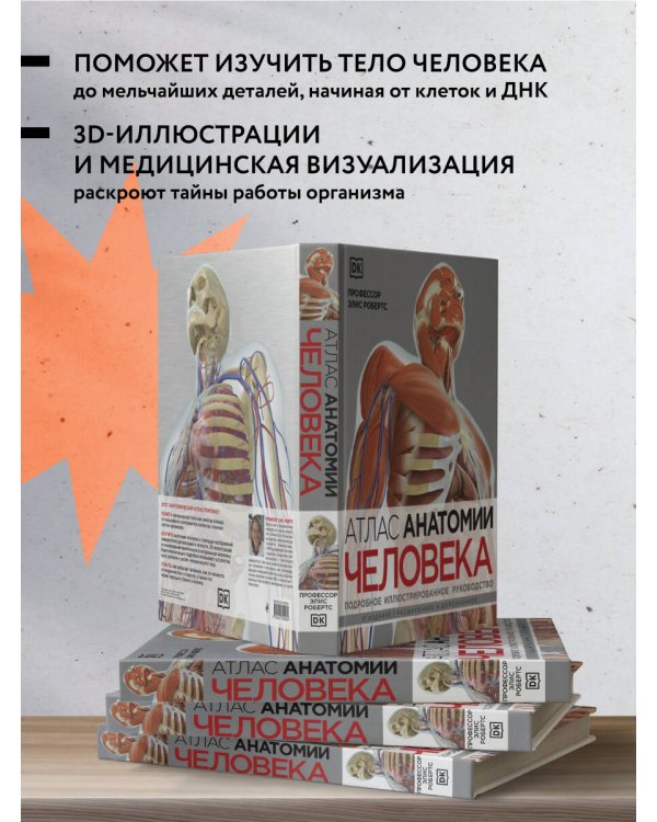 Атлас анатомии человека (DK). Подробное иллюстрированное руководство