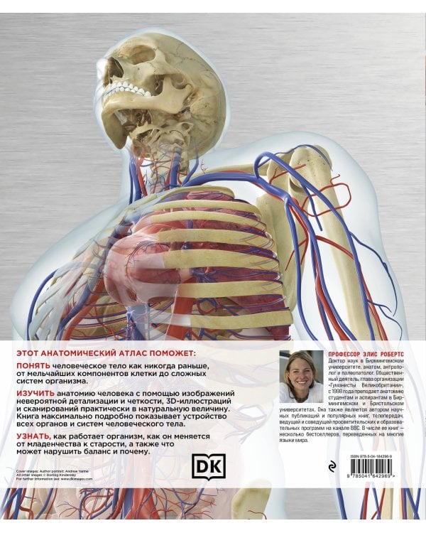 Атлас анатомии человека (DK). Подробное иллюстрированное руководство