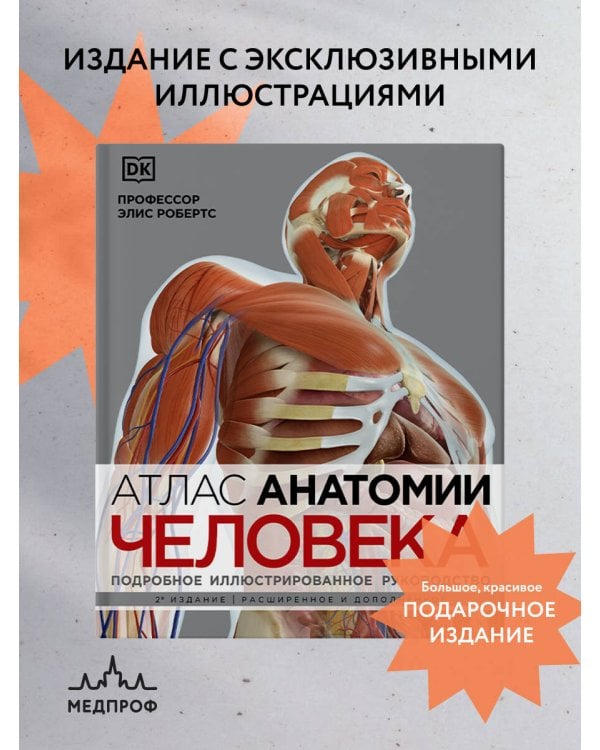 Атлас анатомии человека (DK). Подробное иллюстрированное руководство