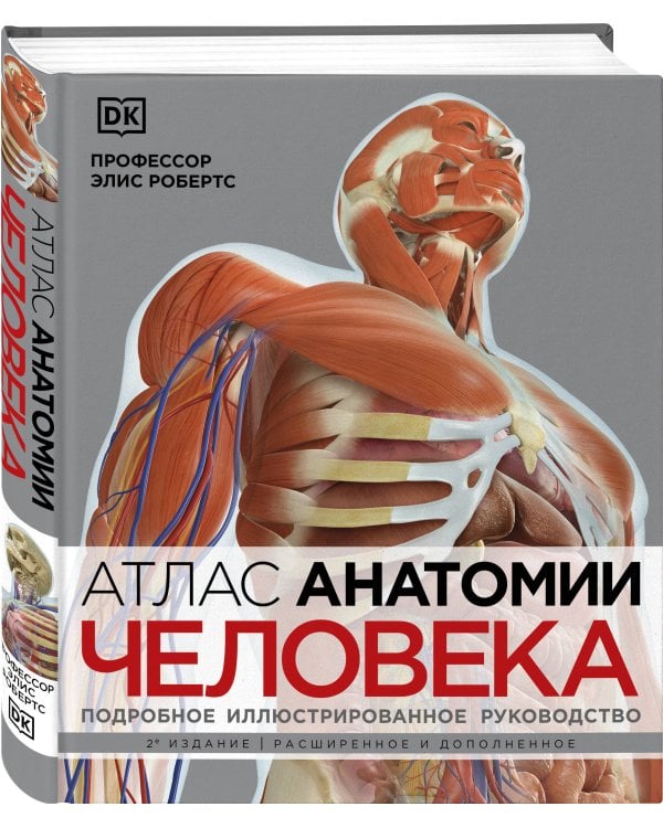 Атлас анатомии человека (DK). Подробное иллюстрированное руководство