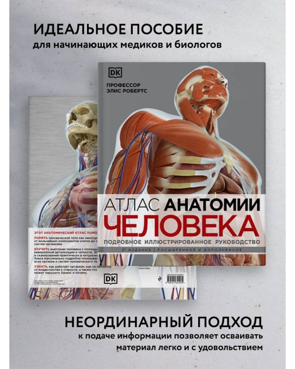 Атлас анатомии человека (DK). Подробное иллюстрированное руководство