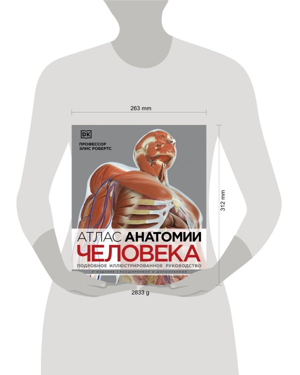 Атлас анатомии человека (DK). Подробное иллюстрированное руководство