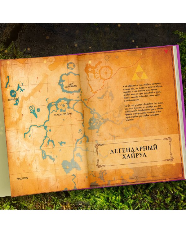 Zelda. Рецепты, вдохновленные легендарной сагой. Неофициальная кулинарная книга