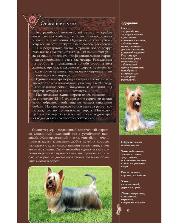 Собаки. Лучший иллюстрированный гид