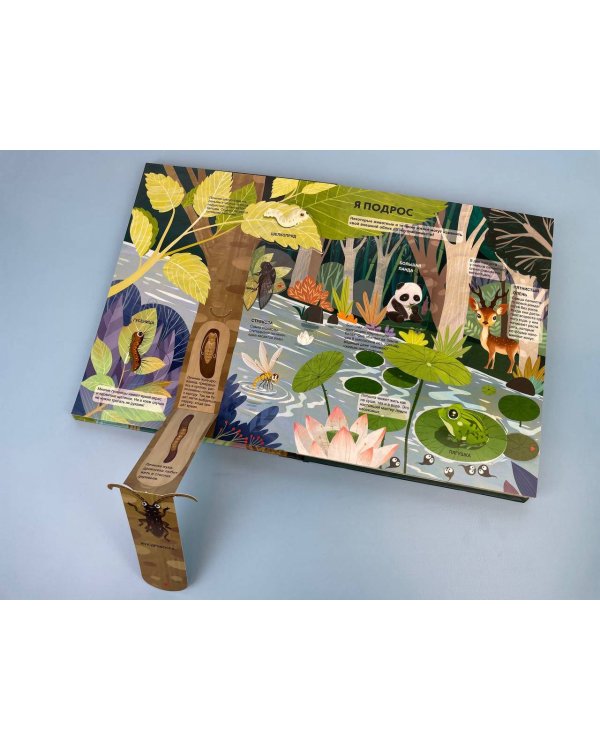 Удивительные животные