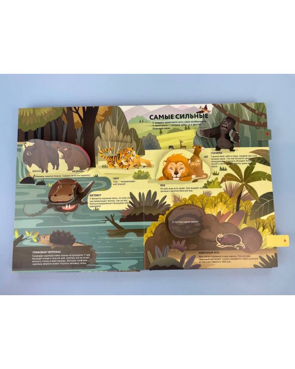 Удивительные животные