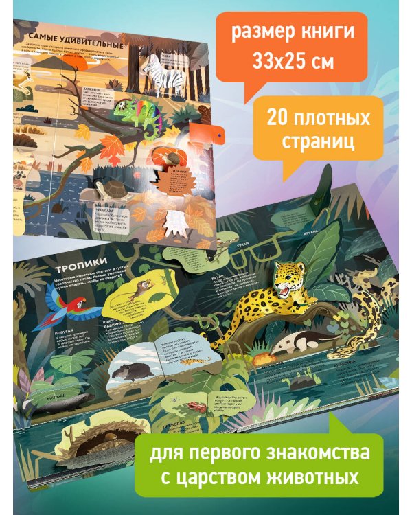 Удивительные животные