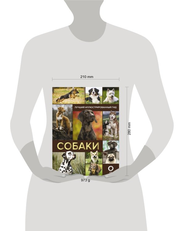 Собаки. Лучший иллюстрированный гид