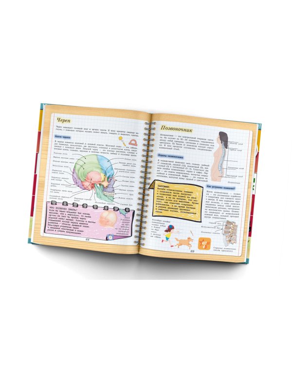 4D-энциклопедия занимательных наук