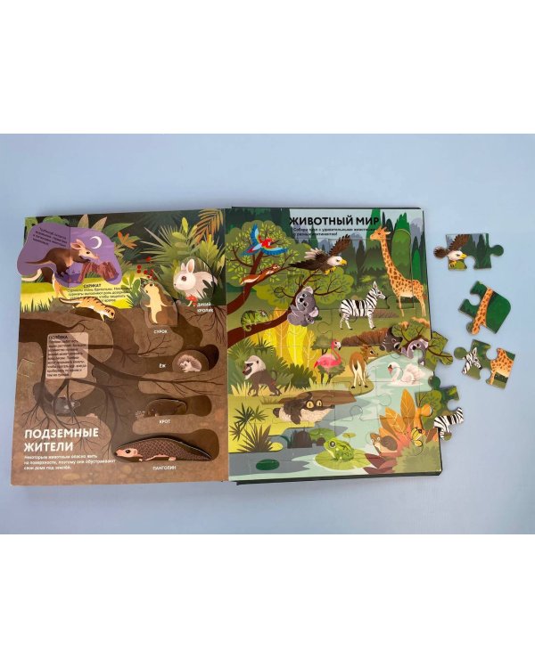 Удивительные животные