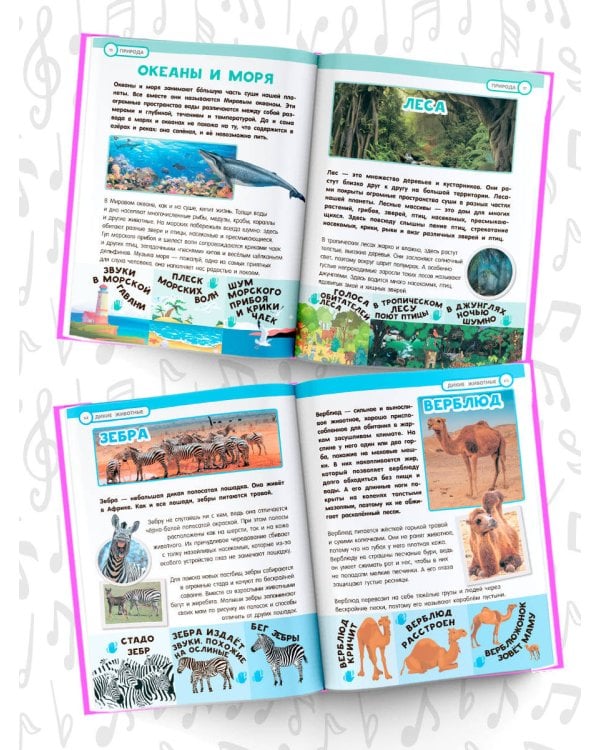 Большая энциклопедия. 501 звук и 1001 иллюстрация