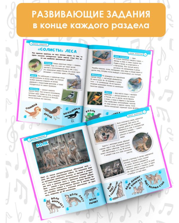 Большая энциклопедия. 501 звук и 1001 иллюстрация