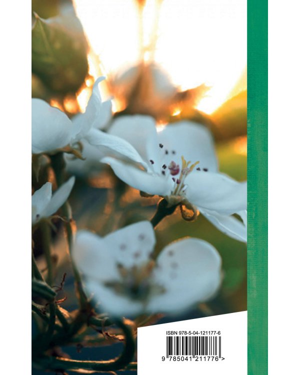 Вчера еще в глаза глядел...