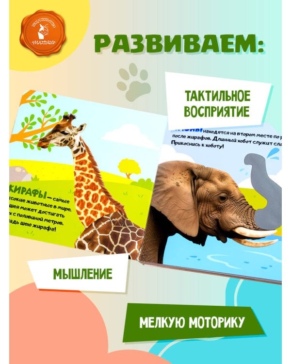 Дикие животные