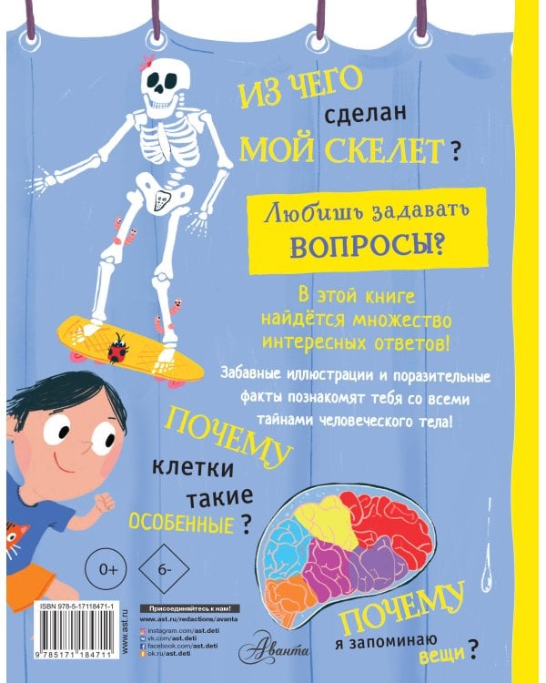 Тело человека