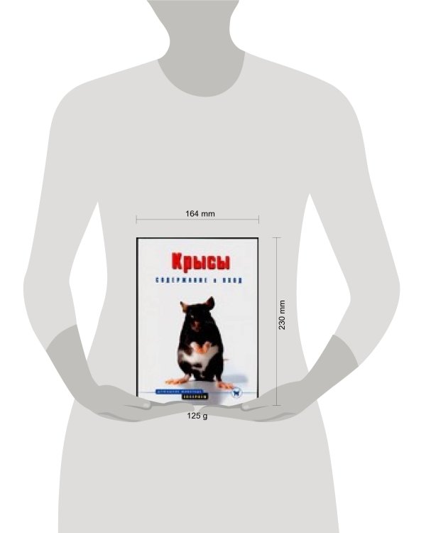 Крысы. Содержание и уход