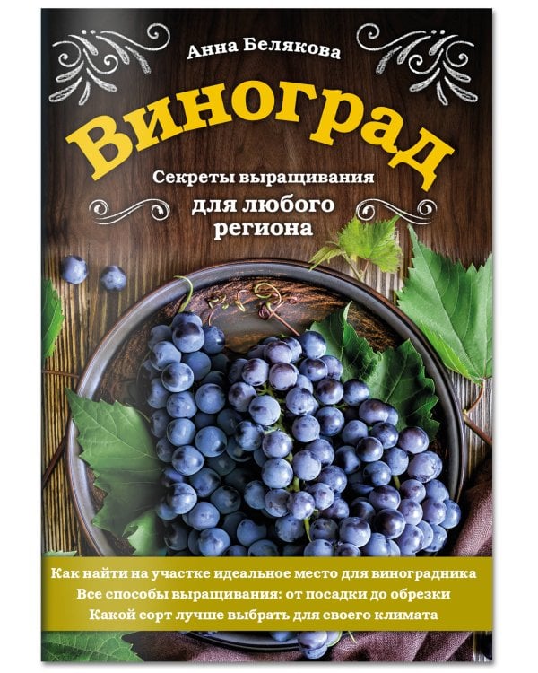 Виноград. Секреты выращивания для любого региона