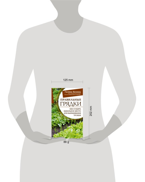 Правильные грядки. Как создать идеальное место для выращивания урожая