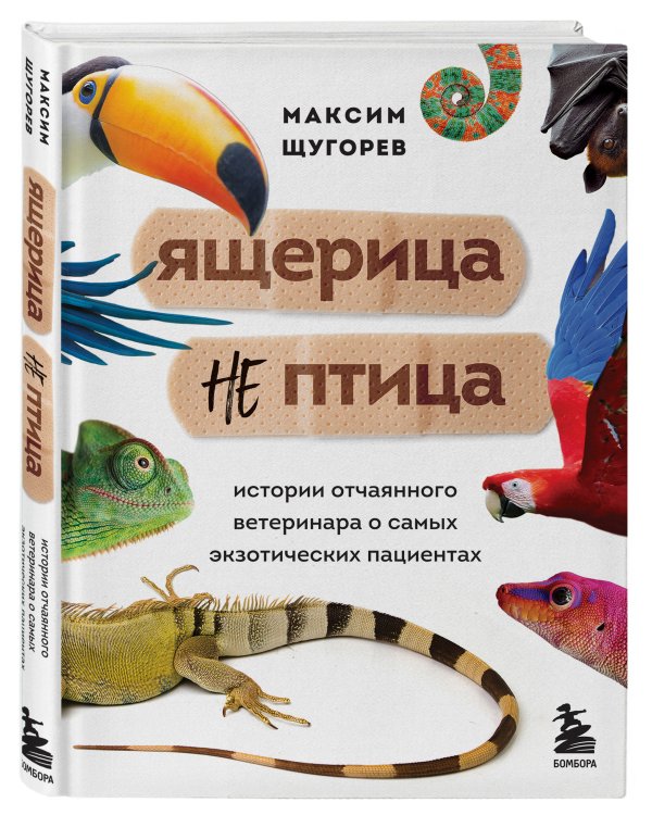 Ящерица не птица. Истории отчаянного ветеринара о самых экзотических пациентах
