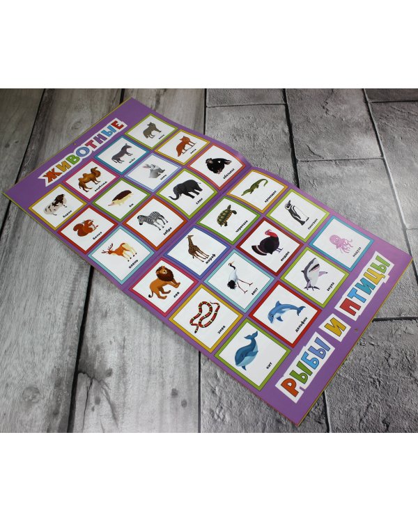 Умные плакаты. Для детей 4-6 лет