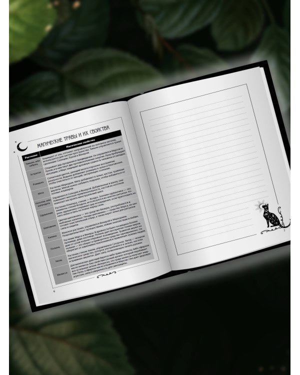 Колесо года. Зачарованный блокнот ведьмы