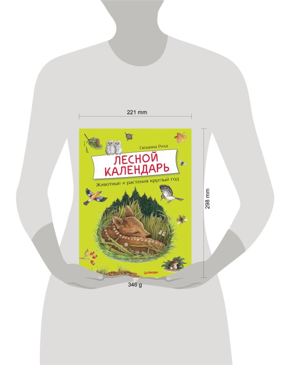 Лесной календарь  5+ Животные и растения круглый год