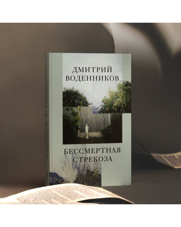 Бессмертная стрекоза