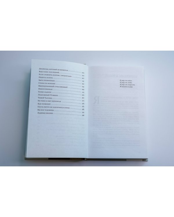 Бессмертная стрекоза