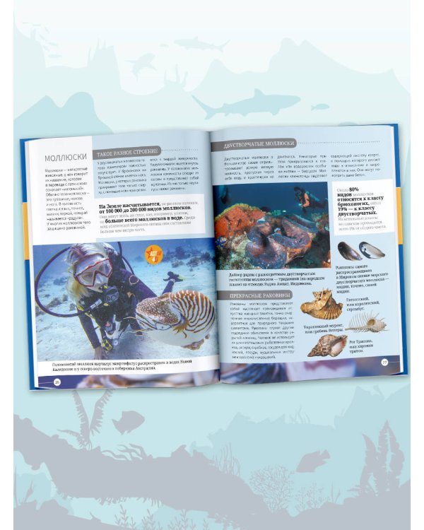 Всё о подводном мире