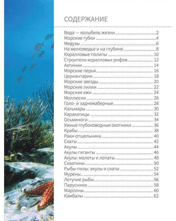 Всё о подводном мире