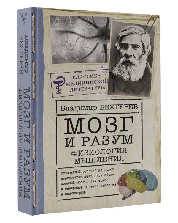 Мозг и разум: физиология мышления