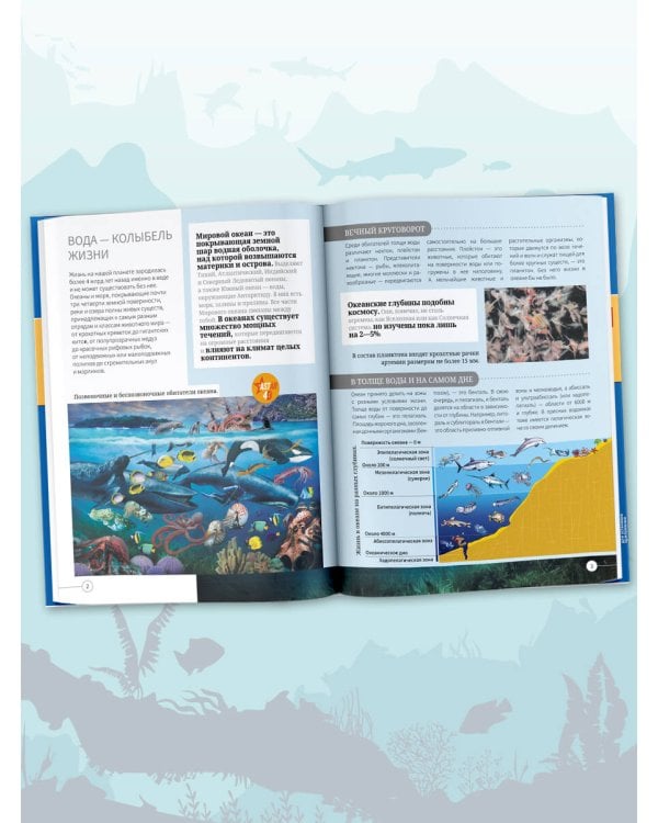 Всё о подводном мире