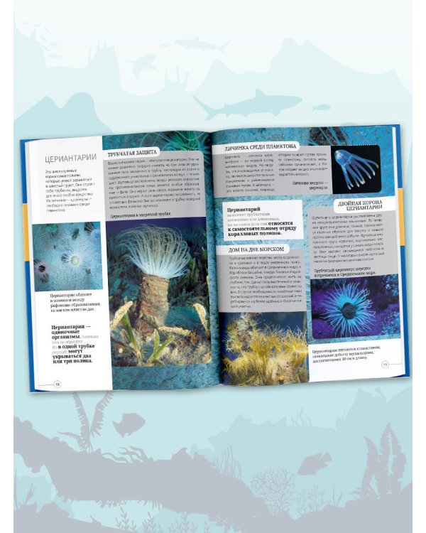 Всё о подводном мире