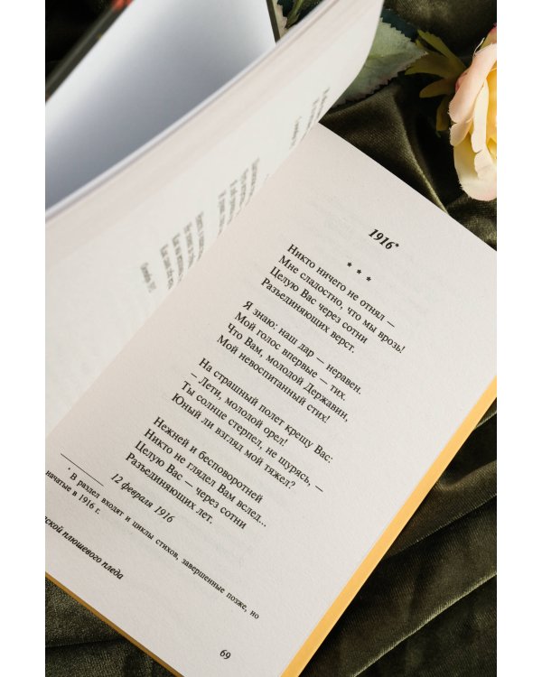 Под лаской плюшевого пледа