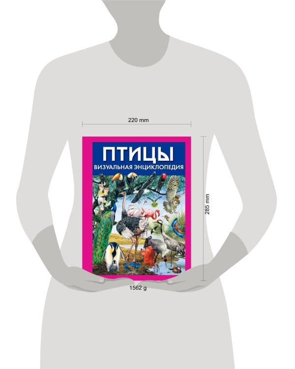 Птицы. Визуальная энциклопедия