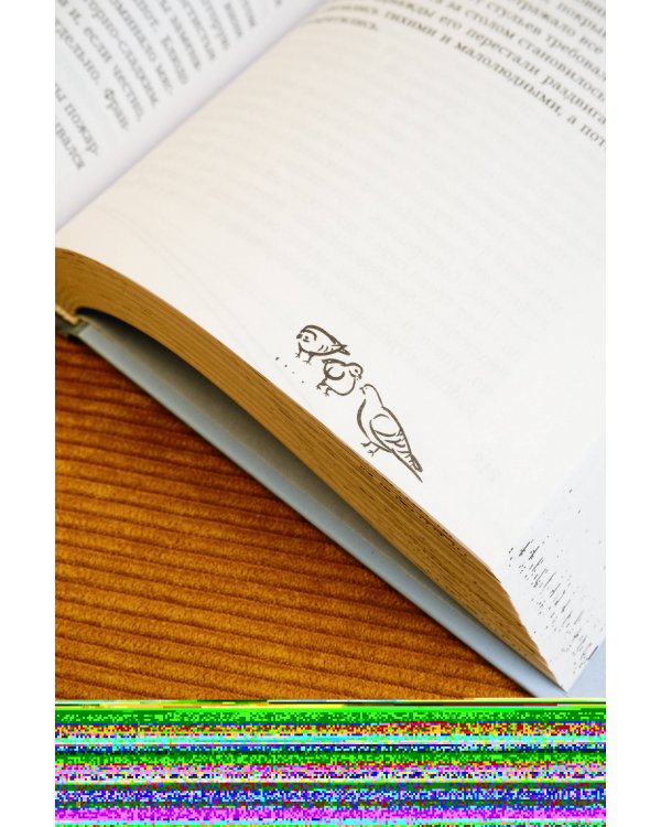 Дети Воинова. Коммунальные конфорки