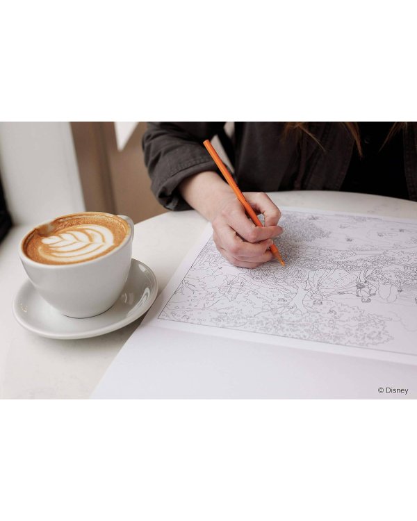 Disney Dreams Collection Thomas Kinkade Studios Disney Princess Coloring book Раскраска Disney Collection Томаса Кинкейда /Книги на английском языке