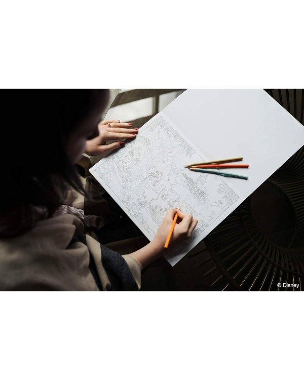 Disney Dreams Collection Thomas Kinkade Studios Disney Princess Coloring book Раскраска Disney Collection Томаса Кинкейда /Книги на английском языке