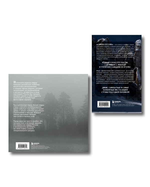 Россия в моем сердце. Подарочный комплект 2-х книг Ивана Дементиевского (ИК)