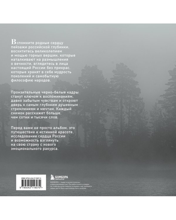 Россия в моем сердце. Подарочный комплект 2-х книг Ивана Дементиевского (ИК)