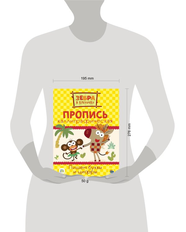 ЗЕБРА В КЛЕТОЧКУ. Каллиграфические прописи. ПИШЕМ БУКВЫ И ЦИФРЫ