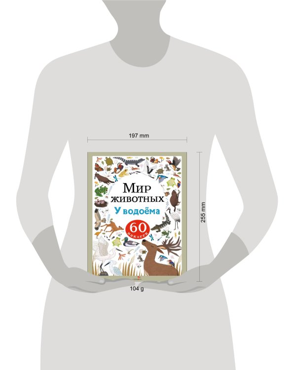 Мир животных. Наклейки. У водоёма